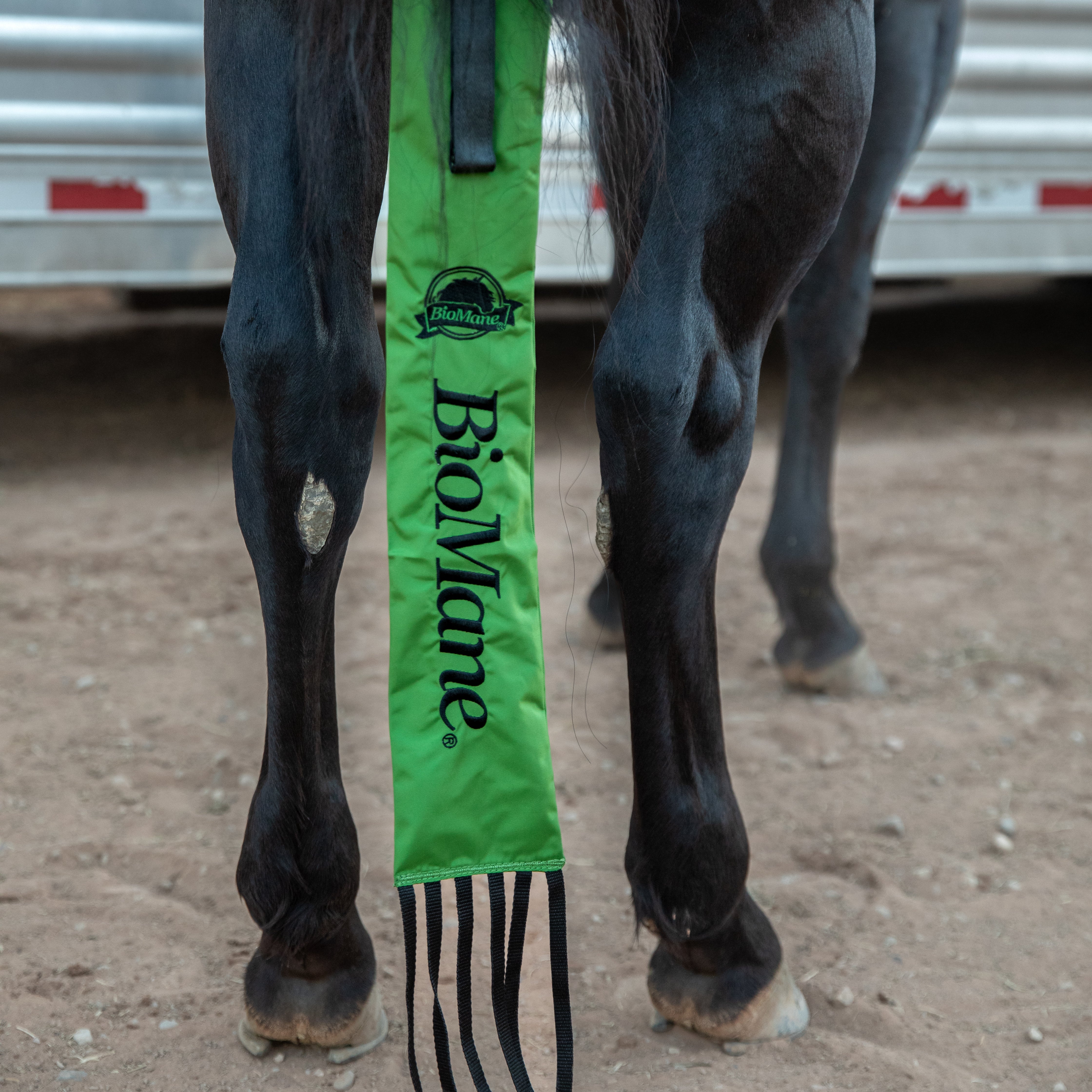 Tailbag - Image 7